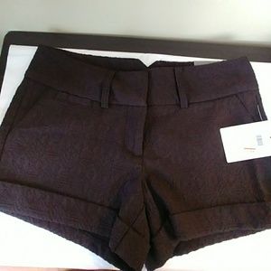 Maurices shorts